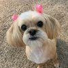 erinl_1908